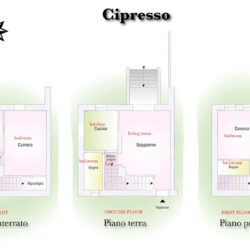 cipresso plan