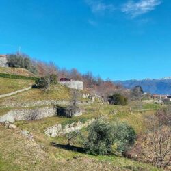complex of buildings with pool for sale near Molazzana Lucca Tuscany (5)-1200