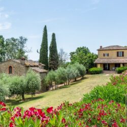 estate with pool for sale near Lucignano Tuscany (5)