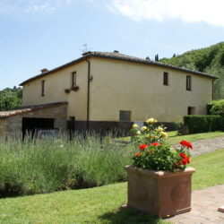v5409ab house with pool near Sarteano more (6)