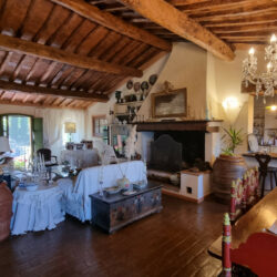 Beautiful Tuscan villa for sale near Pontedera (8)