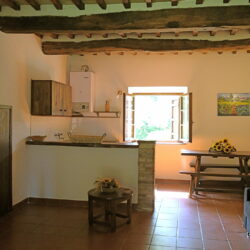 Farmhouse for sale in Tuscany (49)