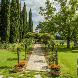 House with Pool and Loggia for sale near Cortona (36)