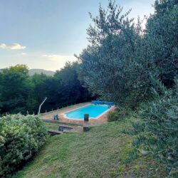 House with pool for sale near Coreglia Antelminelli Tuscany (21)
