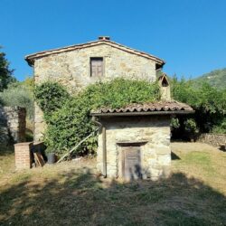 House with pool for sale near Coreglia Antelminelli Tuscany (24)
