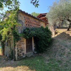 House with pool for sale near Coreglia Antelminelli Tuscany (35)