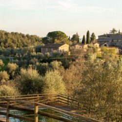 Large estate for sale in Chianti Tuscany (41)