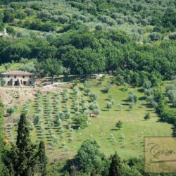 Stone villa farmhouse with pool and olives castel del piano Tuscany (1)