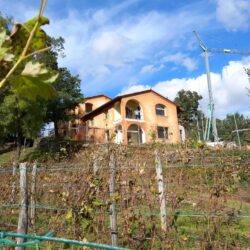 Tuscan eco village progress (5)