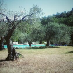 Two houses with pool for sale near Castelnuovo Val di Cecina Tuscany (17)