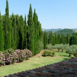 Two houses with pool for sale near Castelnuovo Val di Cecina Tuscany (31)
