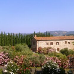 Two houses with pool for sale near Castelnuovo Val di Cecina Tuscany (4)