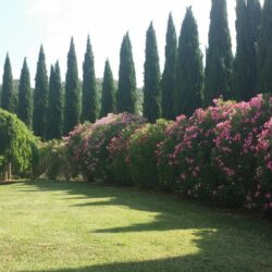 Two houses with pool for sale near Castelnuovo Val di Cecina Tuscany (9)