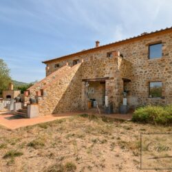 Villa with Pool and Olives for sale near Castel del Piano Tusca (13)-1200