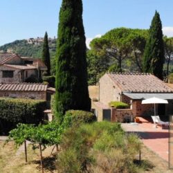 v566611 Farmhouse with annexes and pool for sale near Radicondoli in Tuscany (5)