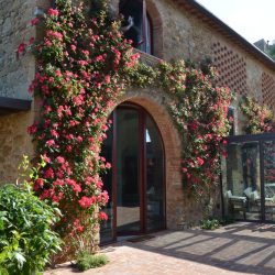 Tuscany Luxury Rental - Villa Petrognano (103)