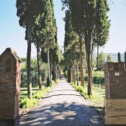 Historic Cortona Villa with Apartments, Vineyard + Olives 18