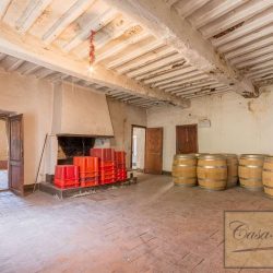 Chianti Winery and Vineyard for Sale