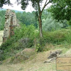 Ruin to Restore near Lake Trasimeno image 9