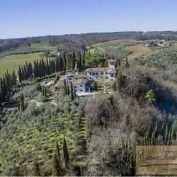 Villa and Estate in Chianit for Sale (9)-1200