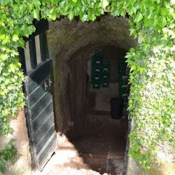 Former Abbey near Orvieto for Sale image 6