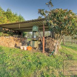 Farmhouse with Vineyard for Sale image26