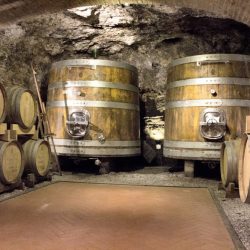 Chianti Winery Estate image 1