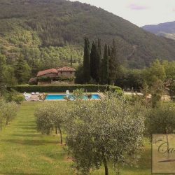 Organic Tuscan Estate for Sale image 28