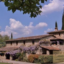 Organic Tuscan Estate for Sale image 20
