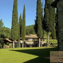 Organic Tuscan Estate for Sale image 27