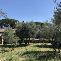 Farmhouse for Sale near Cortona image 34
