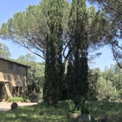 Farmhouse for Sale near Cortona image 12