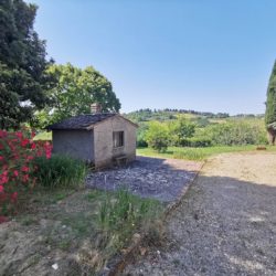 Farmhouse Requiring Restoration near San Gimignano 8