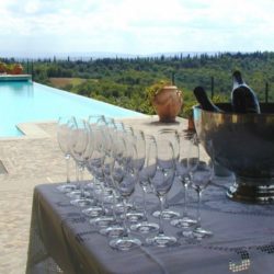 Winery with Castle for sale, Gaiole in Chianti (15)
