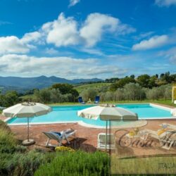 11 Bedroom Property with 15 Hectares inc. Vineyard and Olives 19