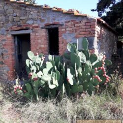 Spacious Cortona Farmhouse + Annexes To Restore 23