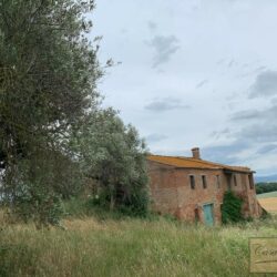 Historic Farmhouse with Olives To Fully Restore 2