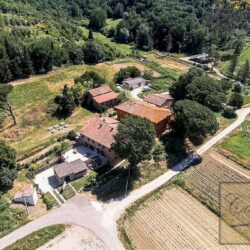Beautiful Historic Tuscan Farm with Vineyards 38