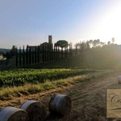 Beautiful Historic Tuscan Farm with Vineyards 9
