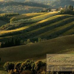 19th Century Chianti Winery with Panoramic Views 18