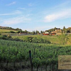 Beautiful farm for sale near Volterra, Tuscany (25)-1200
