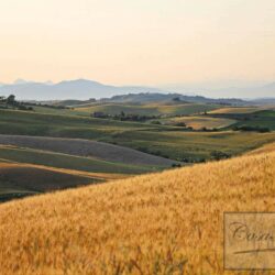 Beautiful farm for sale near Volterra, Tuscany (28)-1200