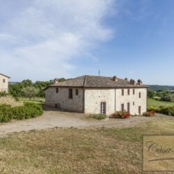 Historic Property with Two Units, Pool, Olives and Vineyard 6