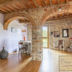 Historic Property with Two Units, Pool, Olives and Vineyard 17