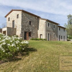 Historic Property with Two Units, Pool, Olives and Vineyard 3
