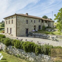 Historic Property with Two Units, Pool, Olives and Vineyard 2