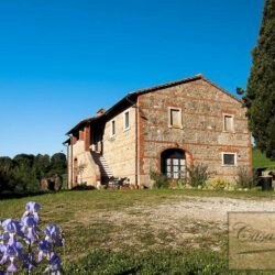 Farmhouse for sale near Pienza Val d'Orcia Tuscany (3)-1200
