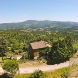House with Annex and Pool for sale near Cortona Tuscany (22)-1200