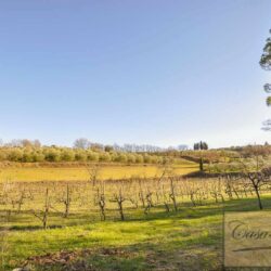 Casale with pool and vaults for sale near Sinalunga Tuscany (22)-1200