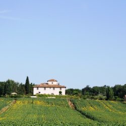 House on estate with pool for sale near Cortona Tuscany (15)